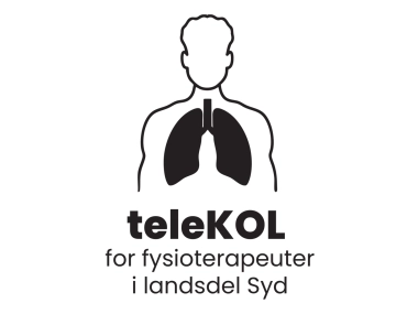 teleKOL - fysioterapeut - Landsdel Syd
