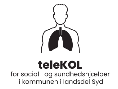 teleKOL - social- og sundhedshjælper i kommunen - landsdel Syd